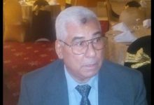 صورة   د.مصطفى ابراهيم يكتب:   تصنيع منتج جديد من الأسماك ” السوريمى”  