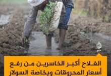 صورة نقيب الفلاحين: زيادة أسعار السولار والبنزين يزعج المزارعين ويزيد الاعباء