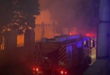 صورة عاجل.. “الزراعة: السيطرة على حريق محدود بـ”مخلفات تقليم الأشجار” في المتحف الزراعي