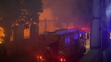 صورة عاجل.. “الزراعة: السيطرة على حريق محدود بـ”مخلفات تقليم الأشجار” في المتحف الزراعي