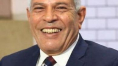 صورة نقابه المهن الزراعيه تتقدم بالتهنئة للرئيس عبدالفتاح السيسي بمناسبه افتتاح المتحف المصري الكبير