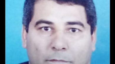 صورة د. مصطفى ابراهيم يكتب : مضافات الأغذية وأهميتها في تكنولوجيا الأغذية