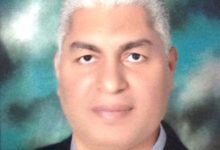 صورة د.ابراهيم عبدالباقي يكتب: منتجات الألبان تُعزز طاقة الخلية