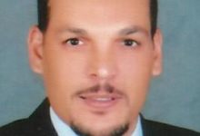 صورة د. عاطف عشيبة يكتب : بلح البحر.. كنز طبيعي يجمع بين الغذاء والصحة والاقتصاد