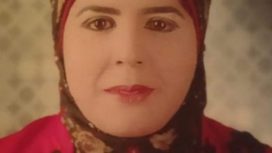 صورة د. حنان صبحي تكتب : دور الغذاء والتغذية السليمة فى بناء المناعة