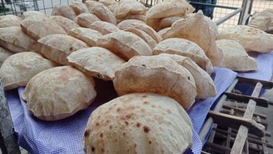 صورة حملات تموينية موسعة ومفاجئة علي الأنشطة التجارية والمخابز بنطاقات احياء ومراكز محافظة القليوبية