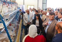 صورة وزراء التخطيط  والزراعة  والأوقاف يتفقدون “المركز الزراعي المتكامل” بسهل القاع ” بسيناء