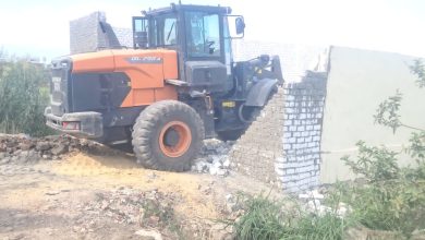 صورة “الإصلاح الزراعي” تزيل 150 حالة تعدي وتضخ 5 ملايين بيضة بالأسواق