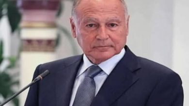 صورة ابو الغيط: يدعو لتفعيل خطة التحرك الإعلام العربي في الخارج 