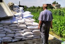 صورة العلوم الصحية تحذر: غياب المراقبين الصحيين  يهدد منظومة الغذاء.. ويعرض صحة المواطنين للخطر