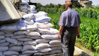 صورة العلوم الصحية تحذر: غياب المراقبين الصحيين  يهدد منظومة الغذاء.. ويعرض صحة المواطنين للخطر