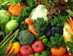 صورة الزراعة: 8.2 مليون طن إجمالي صادرات مصر الزراعية