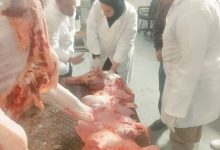 صورة “الزراعة”: ضبط أكثر من 682 طنًا من اللحوم فاسدة(صور)