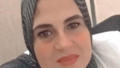 صورة د. سماح ابراهيم تكتب : تاثير التغير المناخي علي الصفات الانتاجيه والتناسليه لابقار الفريزيان في مصر