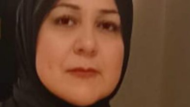 صورة د. ناهد الوحش تكتب : تقييم دورة الحياة في قطاع الألبان.. منهجية علمية لقياس الأثر البيئي وتعزيز الاستدامة