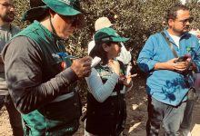 صورة “الزراعة” تستقبل وفدا فنيا من دولة” بيرو ” لفتح السوق البيروني أمام صادرات مصر من الموالح