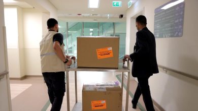 صورة لأول مرة في مصر.. استيراد أول شحنة من الجلد المجمد تحت رعاية حكومية كاملة