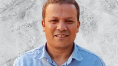 صورة د.صبحي ميخائيل يكتب : البروبيوتيك ودورها الحيوي في زيادة القيمة المضافة لمنتجات الألبان