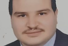 صورة د. محمود دسوقي يكتب : تحسين صناعه الجبن الطري