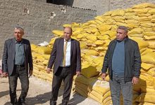 صورة “الزراعة” تضبط مخزنًا غير مرخص لتهريب الأسمدة المدعمة بالمحلة الكبرى