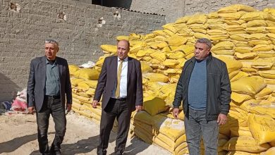 صورة “الزراعة” تضبط مخزنًا غير مرخص لتهريب الأسمدة المدعمة بالمحلة الكبرى