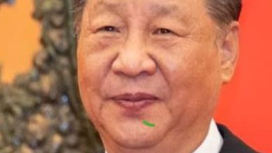 صورة “شي جين بينغ “يشدد على العمل لرفع المستويات الفكرية والأخلاقية للقُصّر