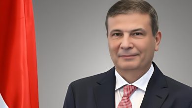 صورة المفوضية الأوروبية تخفض فحوصات الموالح المصرية إلى 10% بدلا من 20% 