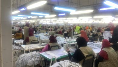 صورة مصنع الغزل والنسيج بالفيوم يشهد طفرة كبيرة ليصبح منصة خير لمستفيدي تكافل وكرامة