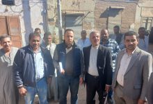 صورة “الزراعة” تكشف حقيقة تسبب “النمل الأبيض” في أنهيار منازل بالأقصر