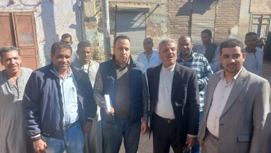 صورة “الزراعة” تكشف حقيقة تسبب “النمل الأبيض” في أنهيار منازل بالأقصر