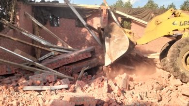 صورة “الزراعة” : إزالة 274 حالة تعدي على الأراضي الزراعية .. ومهندسو الحماية يواصلون المتابعة بالمحافظات