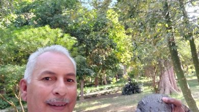 صورة نقيب الفلاحين يكشف حقيقة  تمساح الزوامل وعلاقته بكروسكو وشاتورما