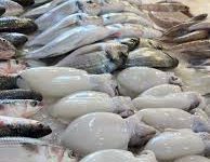 صورة د. نجلاء السنوسي تكتب : الإستفادة من مخلفات الأسماك من خلال إعادة تدويرها