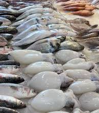 صورة د. نجلاء السنوسي تكتب : الإستفادة من مخلفات الأسماك من خلال إعادة تدويرها