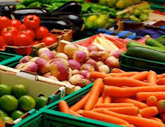 صورة الزراعة: الصادرات الزراعية المصرية حققت 8.8 مليون طن