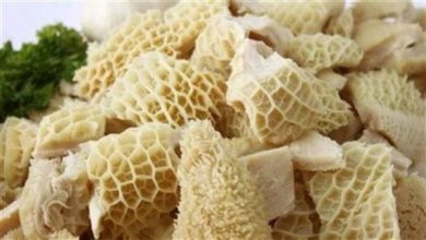 صورة د. محمود فرحات يكتب : فوائد واضرار تناول الكرشة