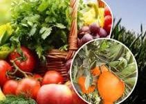 صورة الزراعة : فتح 25 سوقًا جديدًا للصادرات الزراعية في الخارج.. واكتفاء ذاتي من بيض المائدة والألبان و97% من اللحوم البيضاء