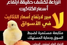 صورة “الزراعة” تكشف حقيقة إرتفاع أسعار الكتاكيت في الأسواق