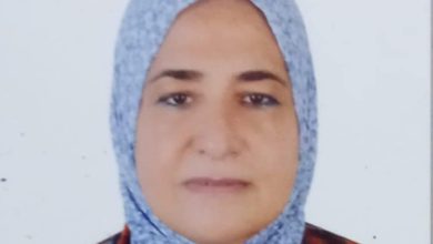 صورة د. نسرين السعيد تكتب : مسحوق كسترد مبتكر مصري موثق ببراءة اختراع.. غذاء صحي مستدام خالٍى النشا وغني بالملونات الطبيعية