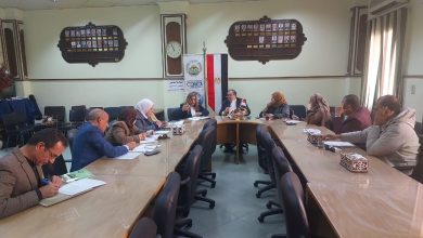 صورة تشكيل “لجنة دائمة” لمتابعة محصول القطن في 14 محافظة