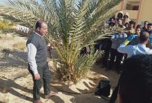 صورة الزراعة:  تكثيف مكافحة سوسة النخيل الحمراء وحماية أكثر من 22 مليون نخلة