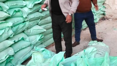 صورة مديرية تموين القاهرة تشن حملة مكثفة على الأسواق والمخابز