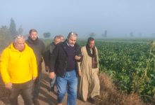 صورة  “الإصلاح الزراعي”..  إزالة أكثر من 100 حالة تعدي و تطهير المساقي وطرح المنتجات للمواطنين بأسعار مخفضة