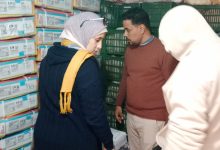 صورة “الزراعة”: ضبط 58 طن اللحوم ومنتجاتها غير الصالحة للاستهلاك الآدمي.. وتحرير 384 محضرًا