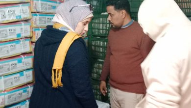 صورة “الزراعة”: ضبط 58 طن اللحوم ومنتجاتها غير الصالحة للاستهلاك الآدمي.. وتحرير 384 محضرًا