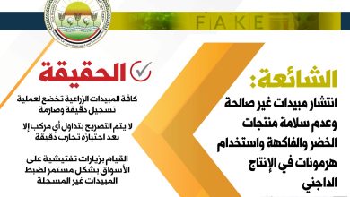 صورة “الزراعة” تنفي شائعة  انتشار مبيدات غير صالحة.. وسلامة المحاصيل الزراعية والدواجن