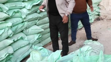 صورة مديرية تموين القاهرة تشن حملة مكثفة على الأسواق والمخابز