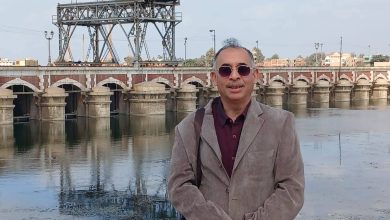 صورة د. خالد وصيف يكتب : واحدة من السبعة الكبار التى تحمل اختام نهر النيل