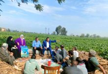 صورة “الزراعة” تدعم 715 ألف مزارع بالريف بأنشطة ” بحوث الإرشاد الزراعي”