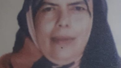 صورة د.ناهد محروس يكتب : الفرق بين زيت بذور الشيا وزبدة جوز الشيا